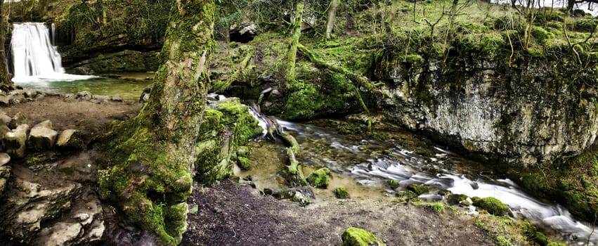 Panoramic background view of a scenic waterfall and stream flowing through lush green woodland