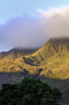 Shaft of sunlight catching a rugged mountain range with its top enveloped in cloud and a green leafy tree in the foreground