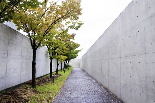 Path along the waters of Sayamaike, lined with cherry-blossom trees, Osaka sayamaike museum