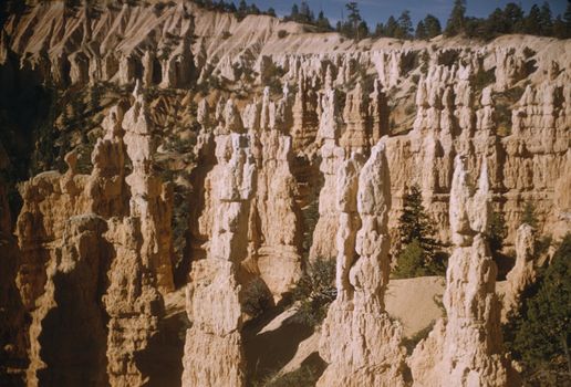 Hoodoo rock formations at Bryce Canyon National Park in Utah, USA