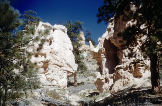 The hoodoos in the Bryce Canyon National Park along Navajo Loop trail, Utah