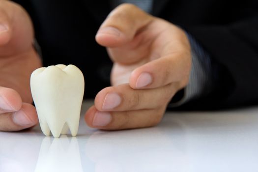 Hand holding molar,dental concept