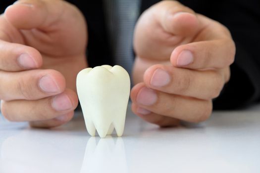 Hand holding molar,dental concept