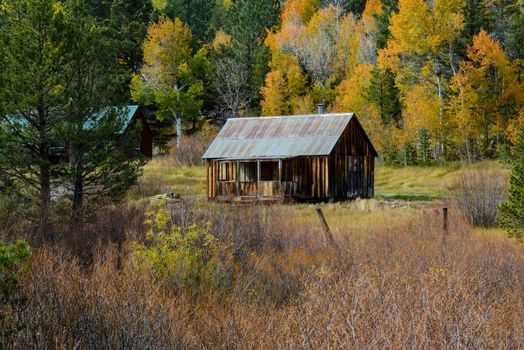 Log Cabin in Autumn