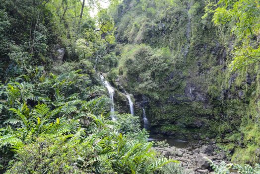 Waterfall in Maui