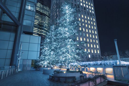 modern city street illumination by Christmas time