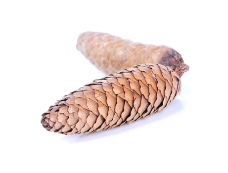 Fir cones isolated on white  background