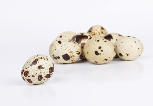 Quail eggs isolated on white  background