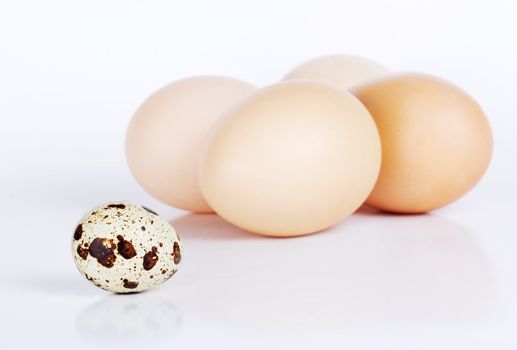 Quail and chicken eggs isolated on white  background