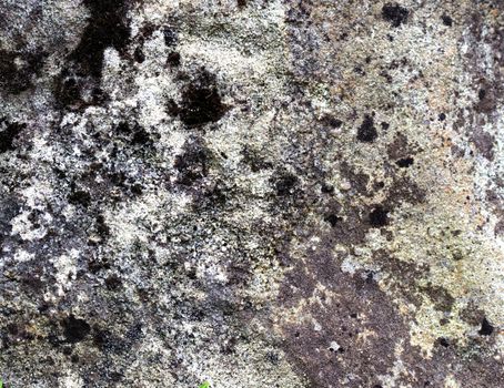 Stone texture background. Close up
