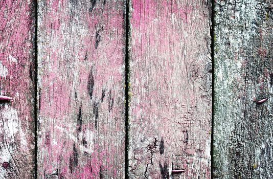 Vintage wooden texture. Background. Close up