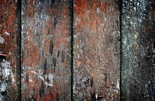 Vintage wooden texture. Background. Close up