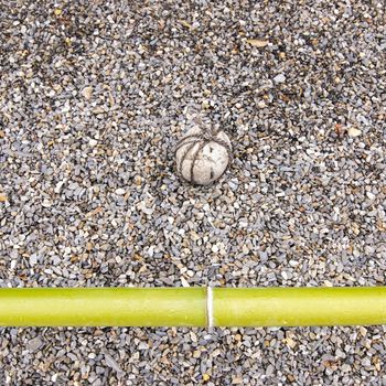 zen garden fragment with green bamboo pole