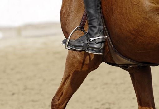 the foot in the stirrup