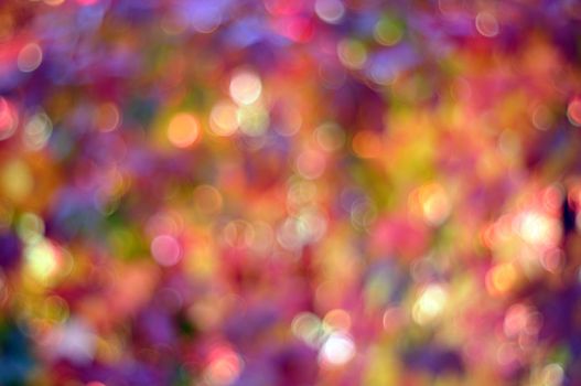 colorful bokeh