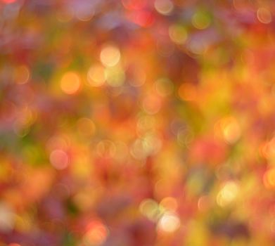 Color Bokeh  for use at graphic design
