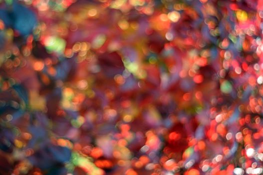 amazing colorful bokeh