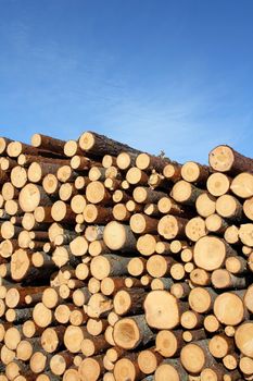Stack of wooden logs of different sizes against blue sky.