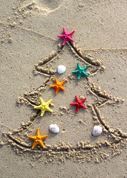 Funny beach Christmas tree decorated with the sea stars and shells
