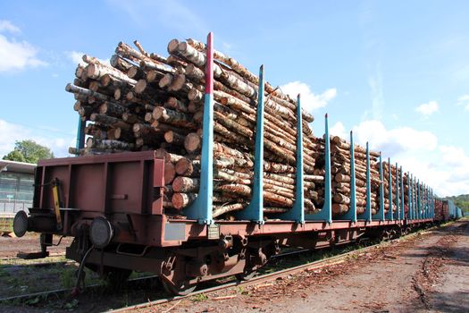 Rail cars of wood at the station ready for transport. 