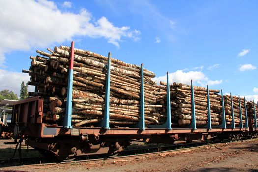 Railcars of wood at the station ready for transport. 