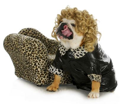 female bulldog sitting beside couch with reflection on white background