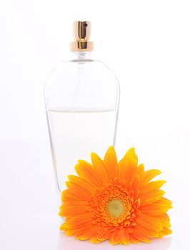 women's perfume in beautiful bottle and flower