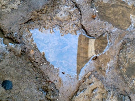 reflection in a puddle as a background