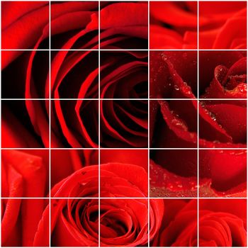 bright red rose petals as a celebratory background