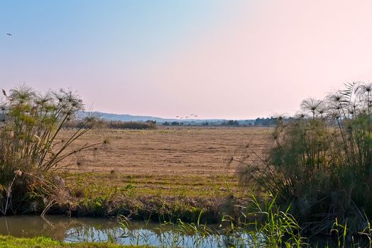 Valley "Agmon-Khula and" adjacent to the ridges and the Golan mountains of Naftali. Winter. Israel.