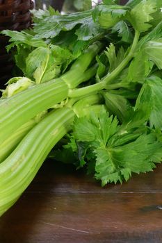 fresh and healthy organic celery on  wood table station delicious vegetarian ingredient   