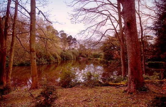 View at an arbor in the park .