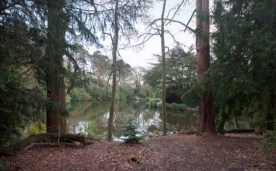 View at an arbor in the park .