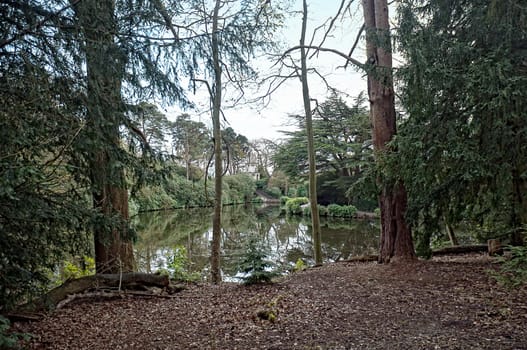 View at an arbor in the park .