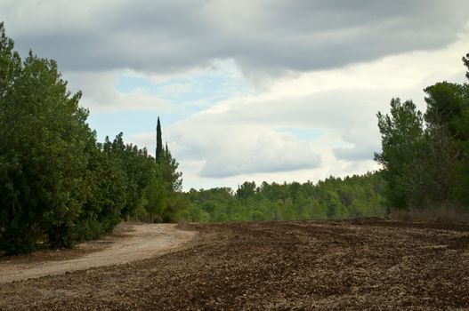 Landscape near Jerusalem in Israel .