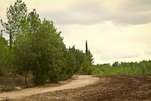 Landscape near Jerusalem in Israel .