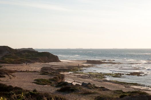 Mediterranean summer landscape on a sunny day. Israel.