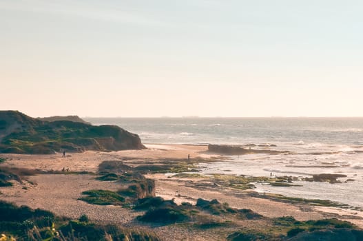 Mediterranean summer landscape on a sunny day. Israel.