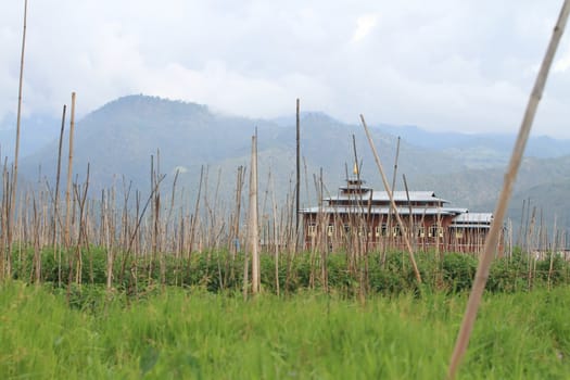 Floating gardens, Inle Lake