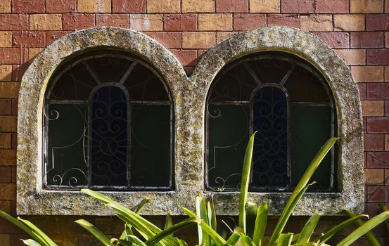 Aged windows of castle with plants at foreground