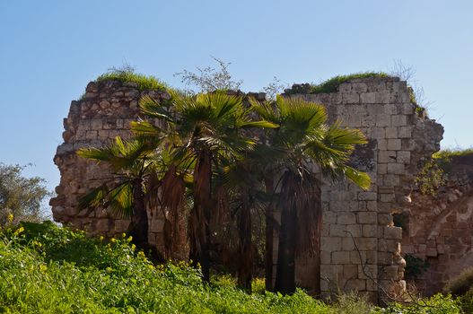 Ruins of the walls of the eighth century. Ramla. Israel.