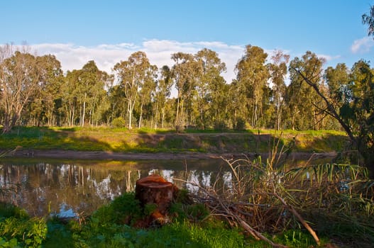 River in the Israeli National Park in winter.