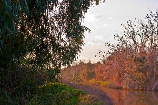 River in the Israeli National Park in winter.