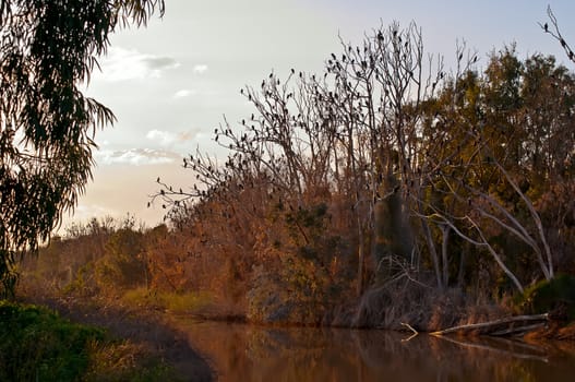 River in the Israeli National Park in winter.