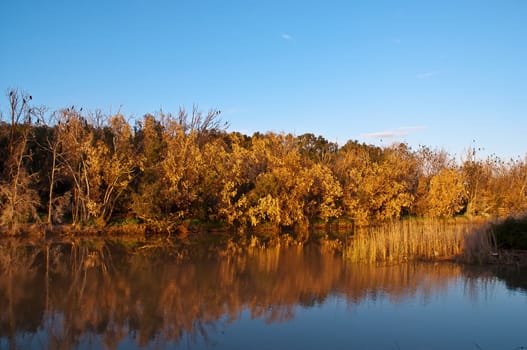 River in the Israeli National Park in winter.