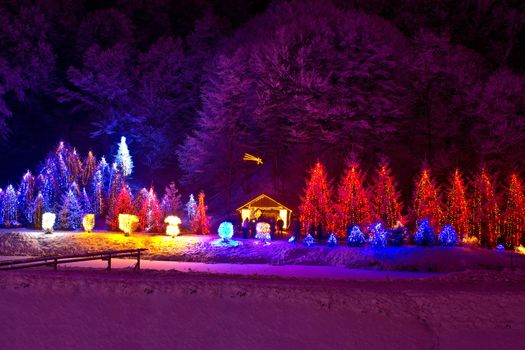 Christmas lights on chapel and pine trees; with Nativity scene and falling star