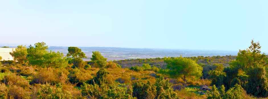 Landscape of Israel in early winter, Zikhron Yaakov .