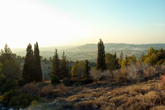 View of the forest in Israel. Beit Shemesh.