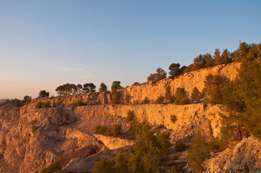 View of the forest in Israel. Area Jimal.