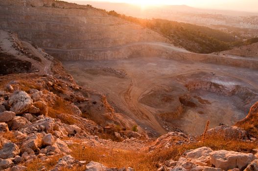 View of the forest in Israel. Area Jimal.